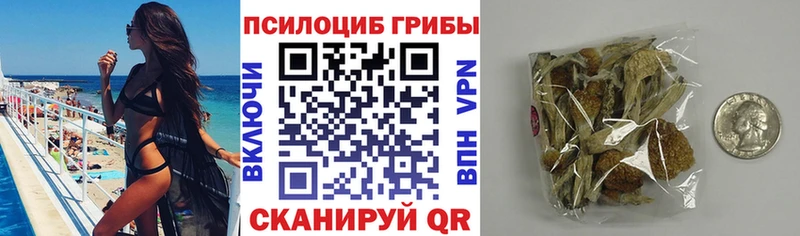 мега зеркало  Сердобск  Псилоцибиновые грибы GOLDEN TEACHER 